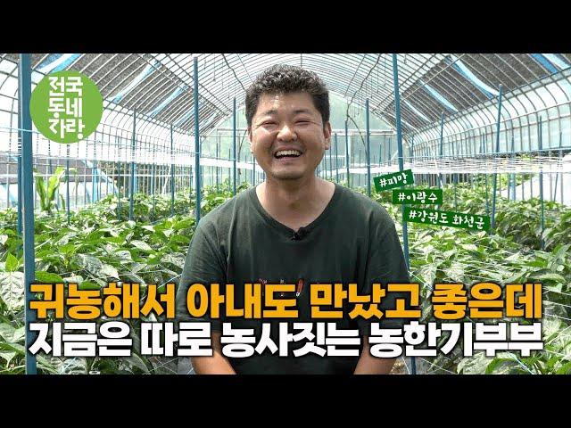 [전국동네자랑 #70] 아내는 홍천에서 옥수수농사, 저는 화천에서 피망농사 하는 #농한기부부  #이광수 #피망