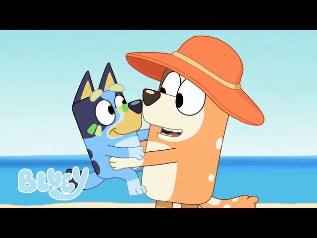 EN VIVO: S1, S2, S3 Episodio Completo Recopilación | Bluey