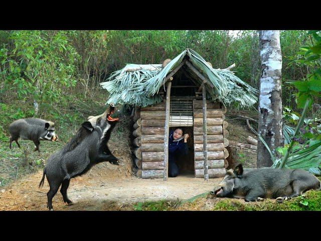 FULL VIDEO: 100 Days, Build a Warm Secret Survival Shelter and Bushcraft Wild Boar Hunting