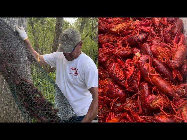 Crawfishing In the Atchafalaya Basin W/Kip Barras (Catch*Cook) Louisiana Crawfish Boil