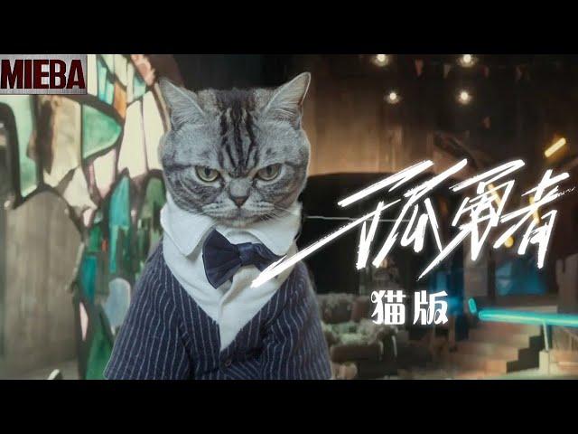 孤勇“猫”总有一天，我要让所有喵高看！