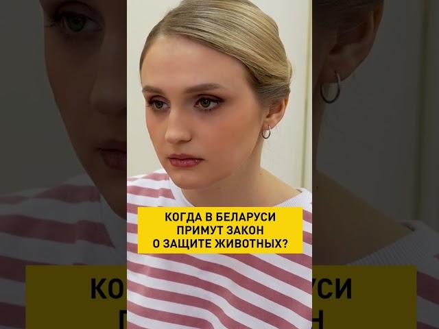 Защита животных в Беларуси: когда примут закон? #shorts #защитаживотных