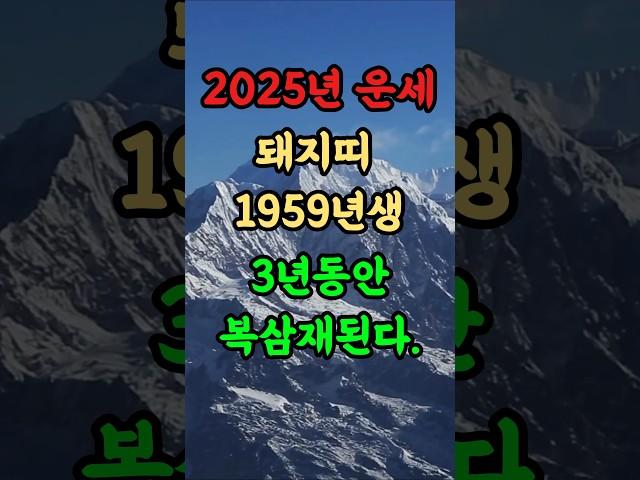 [2025년 돼지띠운세] 돼지띠 59년생 3년동안 복삼재된다. #2025년운세 #돼지띠운세