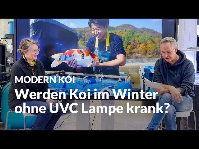 Kann man die UVC Lampe im Winter ausschalten? | Modern Koi Blog #7094