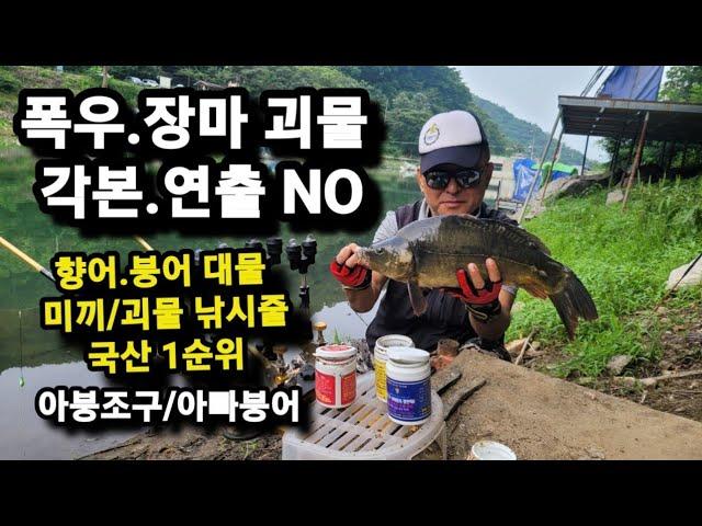 [아붕조구]장마.폭우강행(괴물 실전)향어/붕어 킬러(특수미끼/괴물LINE)국산 감사한.1순위.각본.연출NO 무조건 생방송후 모음