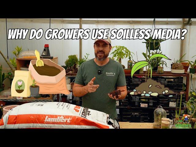 Why Do Growers Use Soilless Media?