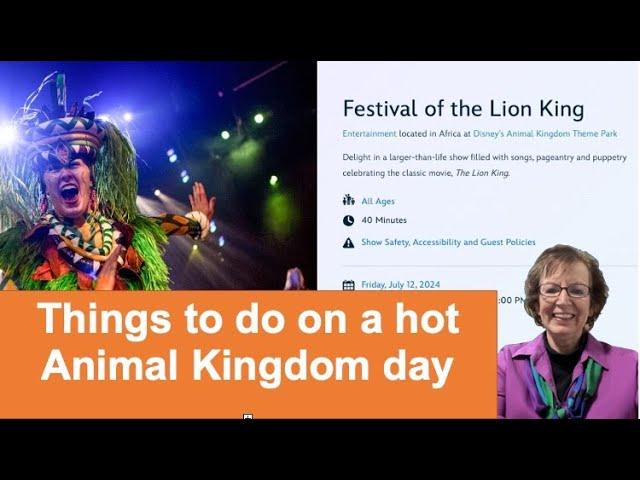 What to do on a hot Disney day - Lion King at Disney's Animal Kingdom