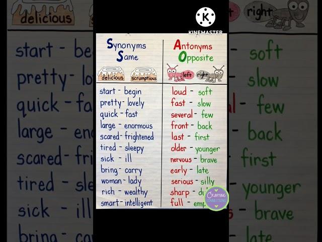 How To Learn Antonyms And Synonyms Words In English