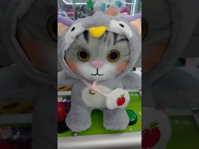 #любимая #игрушка #просто #пушка #киска  #вишенка #котёнок в #кугуруми #пингвин #милашка #супер