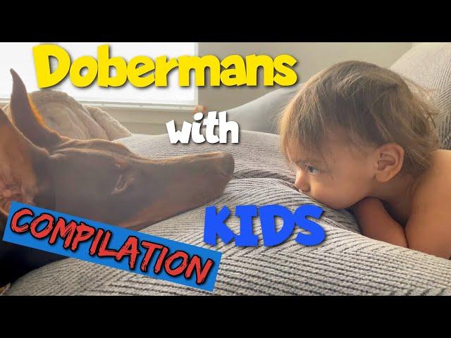 Vicious Dobermans with Helpless Kids  (Compilation)