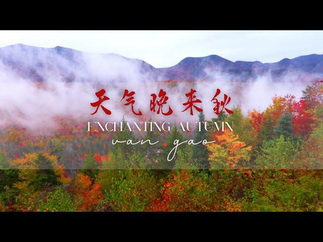 Enchanting Autumn天气晚来秋 - Music for Relaxation & Stress-relief.