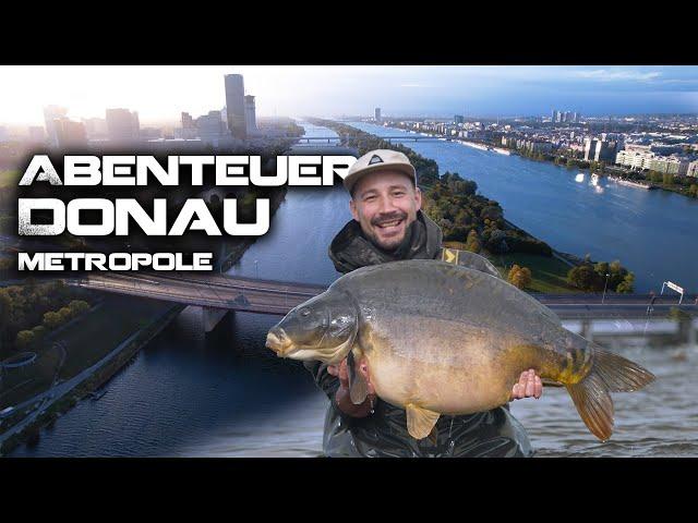 Abenteuer Donau Metropole | Karpfenfischen am 20 km Entlastungsgerinne