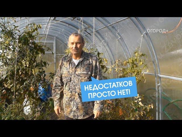 Огород+: Полный обзор теплицы "Рублевская" за 1 год. ЗАВОД ГОТОВЫХ ТЕПЛИЦ