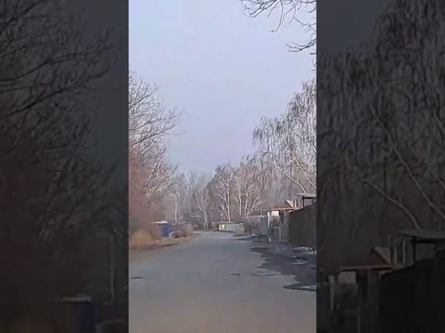 Восточный/Дачный поселок/7тополей