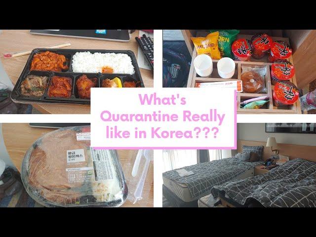 Quarantine in Korea | Room Tour and Meals during 14 Day Quarantine 