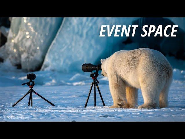 Wildlife Photography Around the World from the Arctic to Antarctica | B&H Event Space