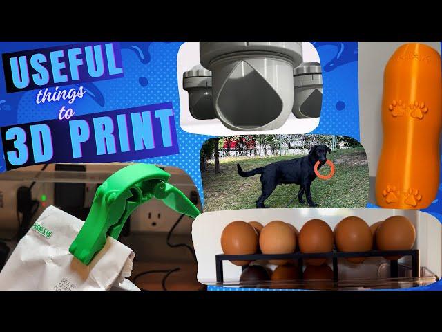 Cool and Useful Things to 3D Print #3dprinting #puppylife #chickens