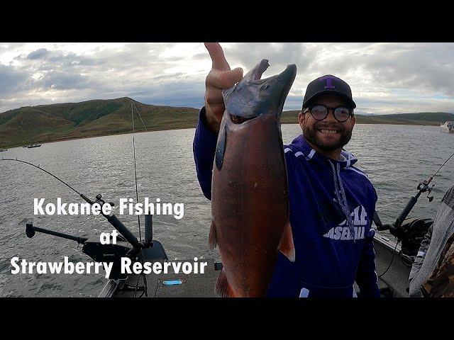 Kokanee Fishing at Strawberry Reservoir