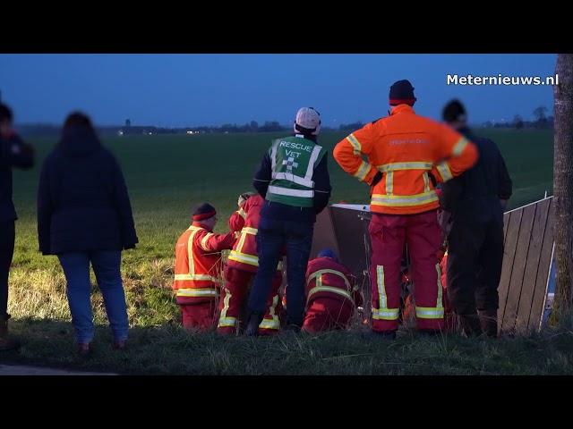 Paard met trailer de sloot in Sint Annen