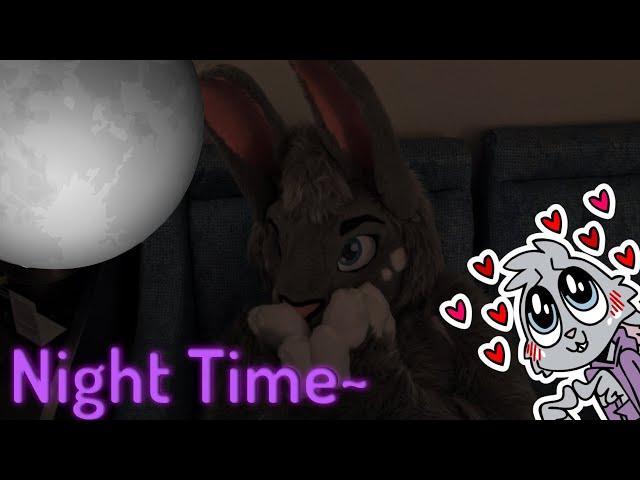 POV: You Hang Out With A Bunny At Night...