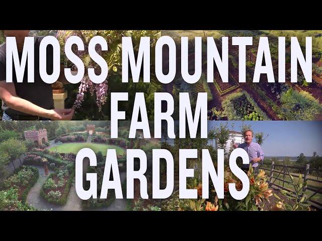 Moss Mountain Farm: The Gardens (P. Allen Smith)