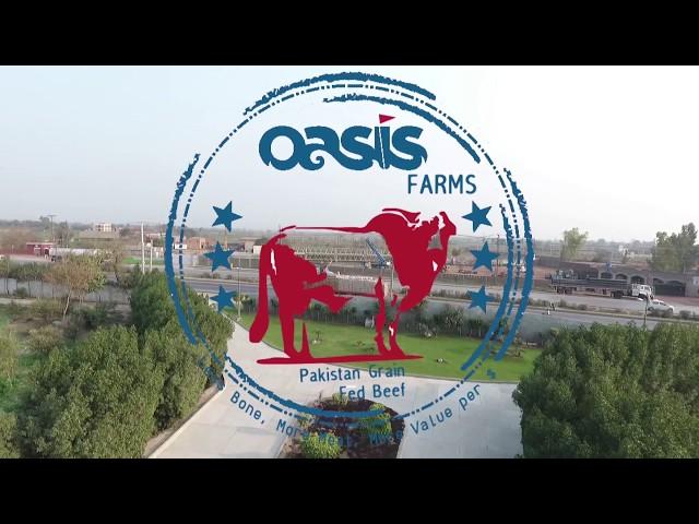 Oasis Farms