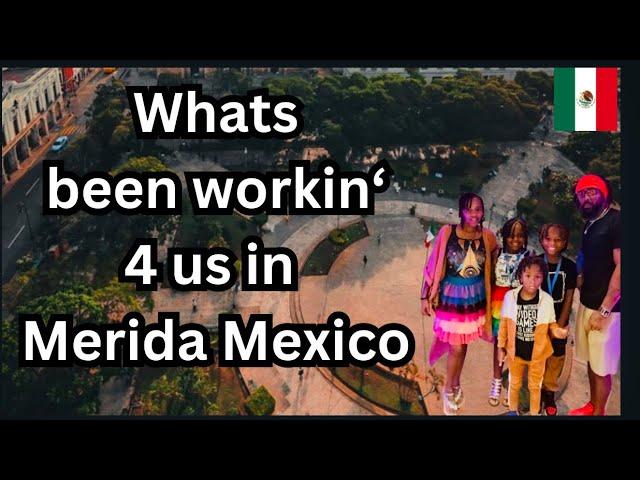 Thriving in Mérida, Mexico: The Wat, Where, When of all things Daily Life in Merida!