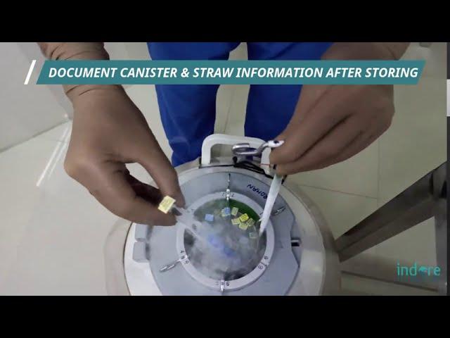 Embryo Freezing – VITRIFICATION Step by Step (How are Embryo’s frozen and Stored in the IVF Lab)