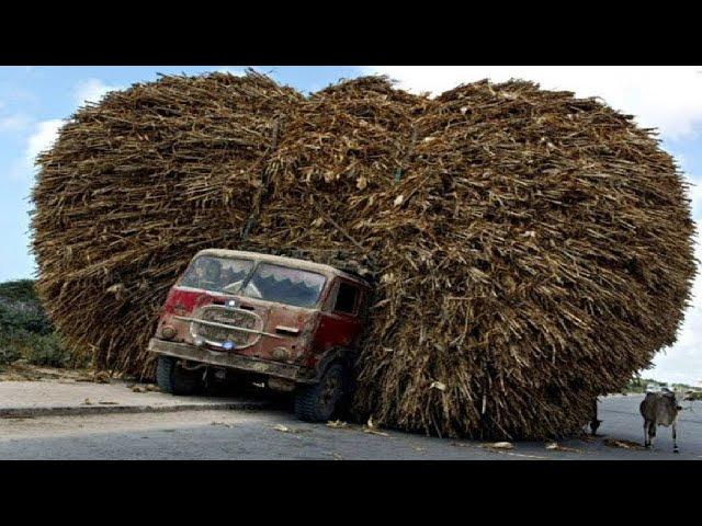 The Most Overloaded Vehicles You Have Never Seen Before