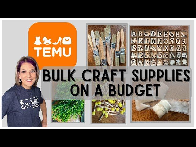 *TEMU* Craft supplies on a Budget