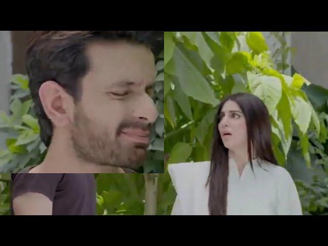 Yaar e Mann Episode 50 - Mashal Khan - Haris Waheed - Yaar e Mann Full Episode 50 - Green TV Review