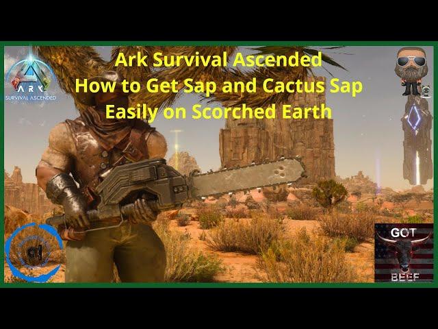 Ark Survival Ascended [PS5] How to Get Sap and Cactus Sap Easily on Scorched Earth