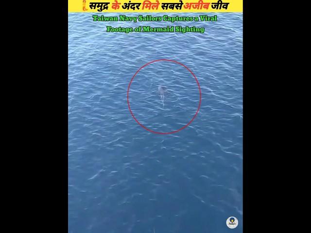 Taiwan Navy Sailors Captures a Viral Footage of Mermaid Sighting #viral