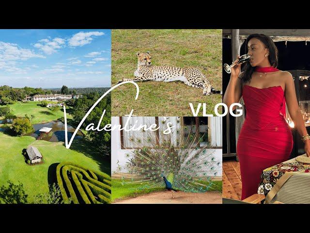 MY VALENTINE’S WEEKEND VLOG | A ROMANTIC NIGHT AT  FAIRMONT, NANYUKI | WHY I’M FOND OF ALBA MERU.