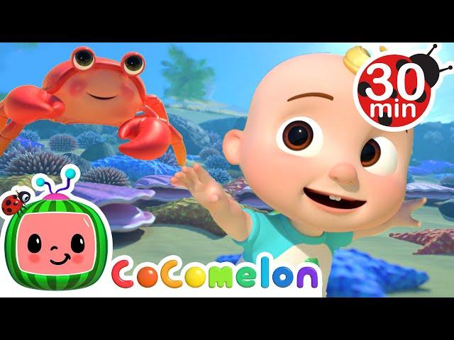 Sea Animal Song | CoComelon | Learning Videos For Kids | Education Show For Toddlers