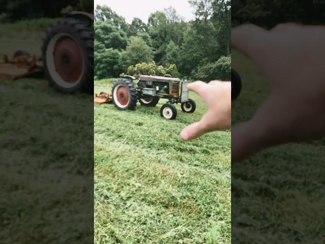 Alfalfa food plot with oats cover crop part 1