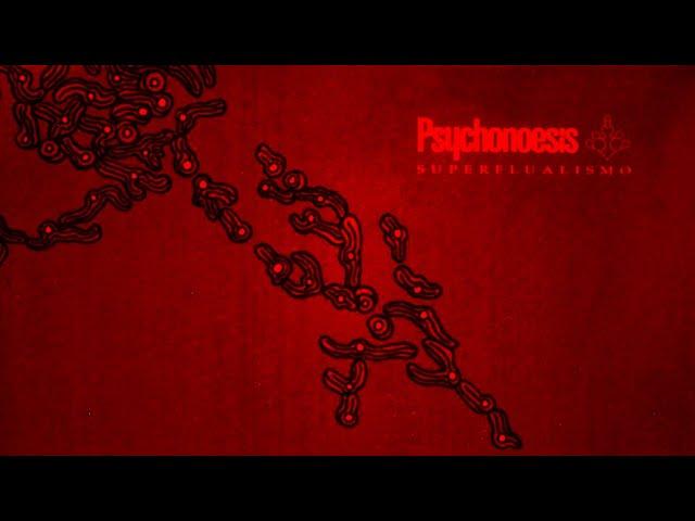 Psychonoesis - Superflualismo. 2005. Progressive Rock. Fusion. Full Album