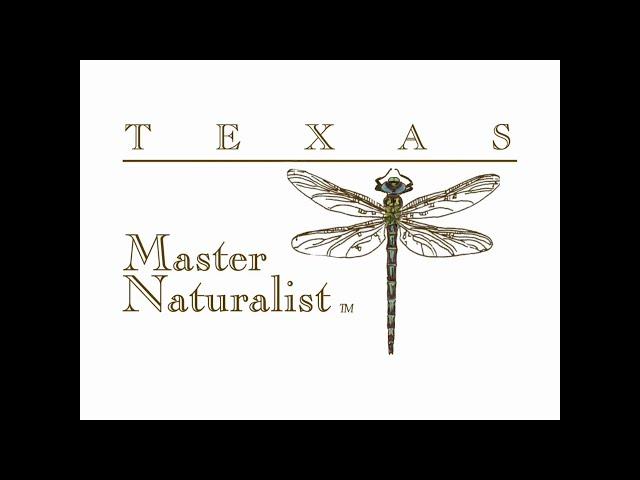 What is a Texas Master Naturalist?