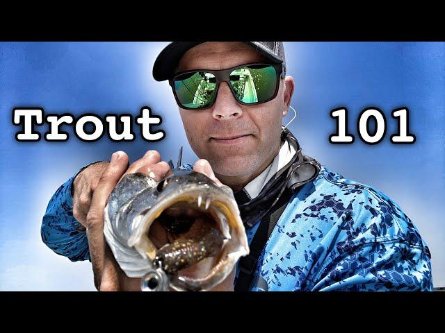 trout fishing 101 - HOW TO - catch summer trout