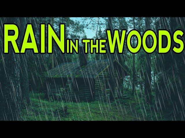  RAIN SOUNDS IN THE WOODS | Ambient Noise For Sleep, Relaxation and Studying | @Ultizzz day#9