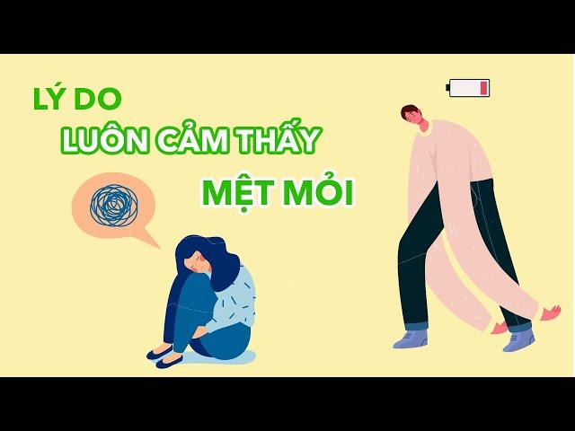 7 lý do khiến bạn luôn Mệt Mỏi
