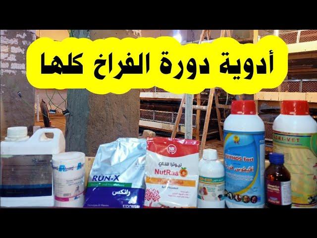 أدوية و تحصينات لازم تجيبها في كل دورة للفراخ البيضاء