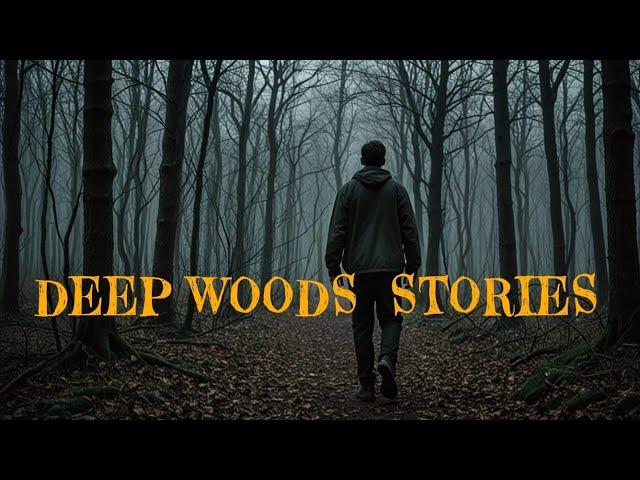 11 Unnerving True Hiking In The Woods Horror Stories | With Rain Sound