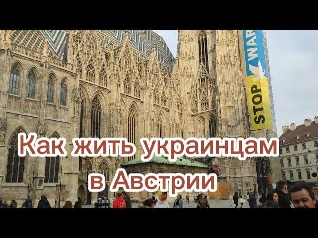 Вена. Как жить украинцам-беженцам в Австрии?