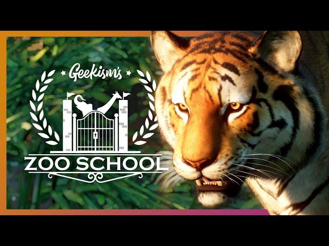 Bengal Tiger | Zoo School | Planet Zoo Habitat Tutorial [4k60fps]