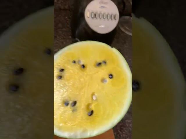 Tasting Yellow Watermelon