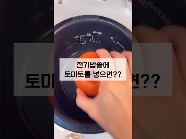 영양찜모드 60분이면 밥솥으로 카레만들기 가능 #전기밥솥카레#무수분카레#카레레시피#간단요리