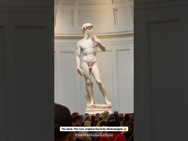 #legend of #art - the #real #david by #michelangelo / #travel #florence #italy #sculpture #firenze