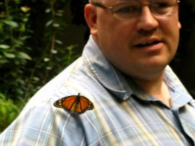 MVI_1631.AVI