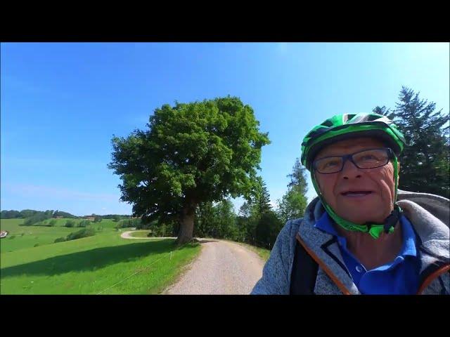 Mein Film vom (vogelwuiden) Biken zur Gindelalm.